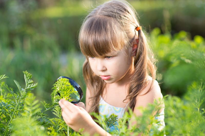对一株植物仔细研究的小女孩