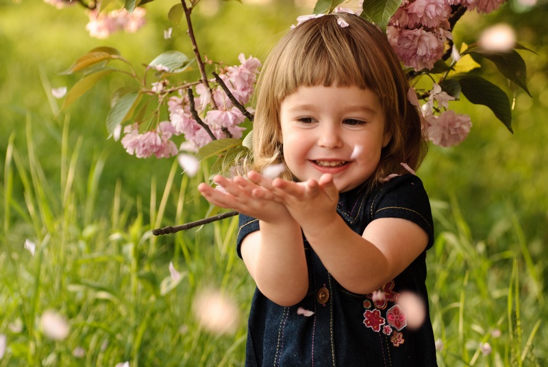可爱的小女孩用手接飘落的花瓣