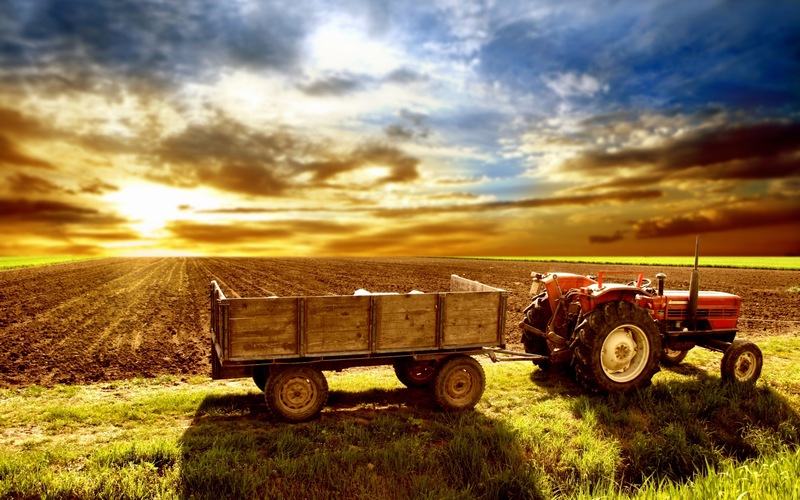 夕阳下农田上的拖拉机