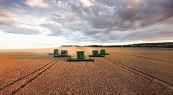 多台联合收割机在麦田中收割小麦