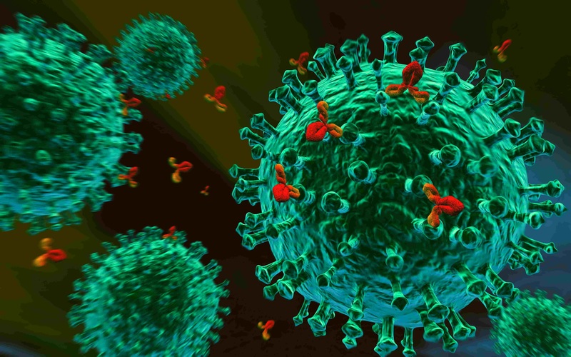 绿色的病毒细菌示意图