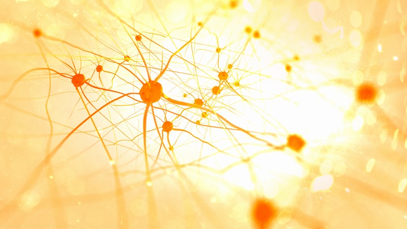 神经细胞3D渲染图