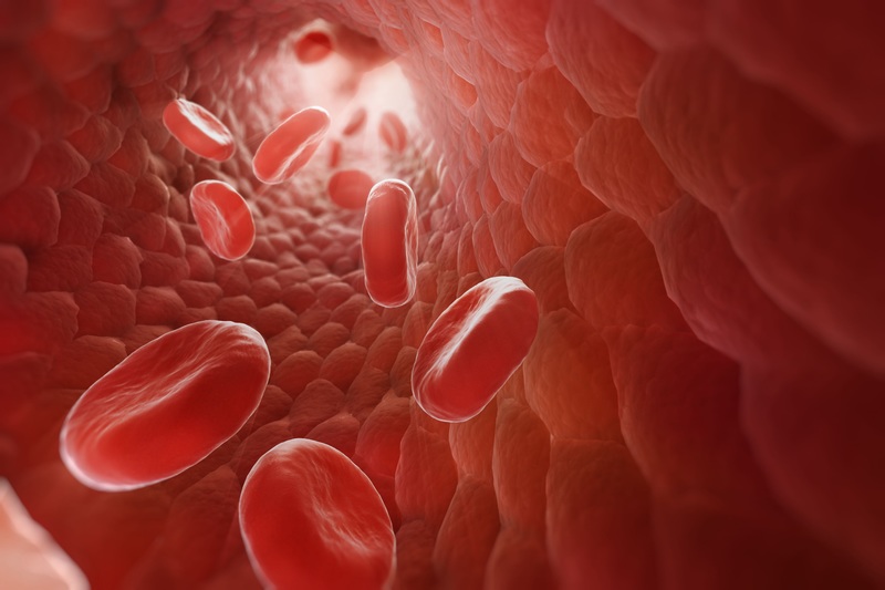 红细胞3D渲染图