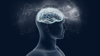 人的大脑神经概念图