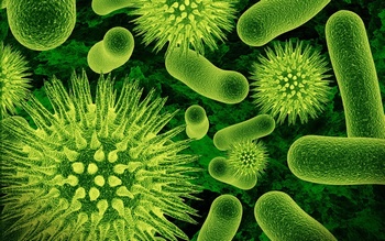 綠色的病毒細菌示意圖