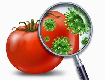 放大鏡看到西紅柿上的細菌