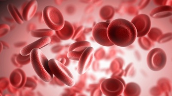 红细胞3D渲染图