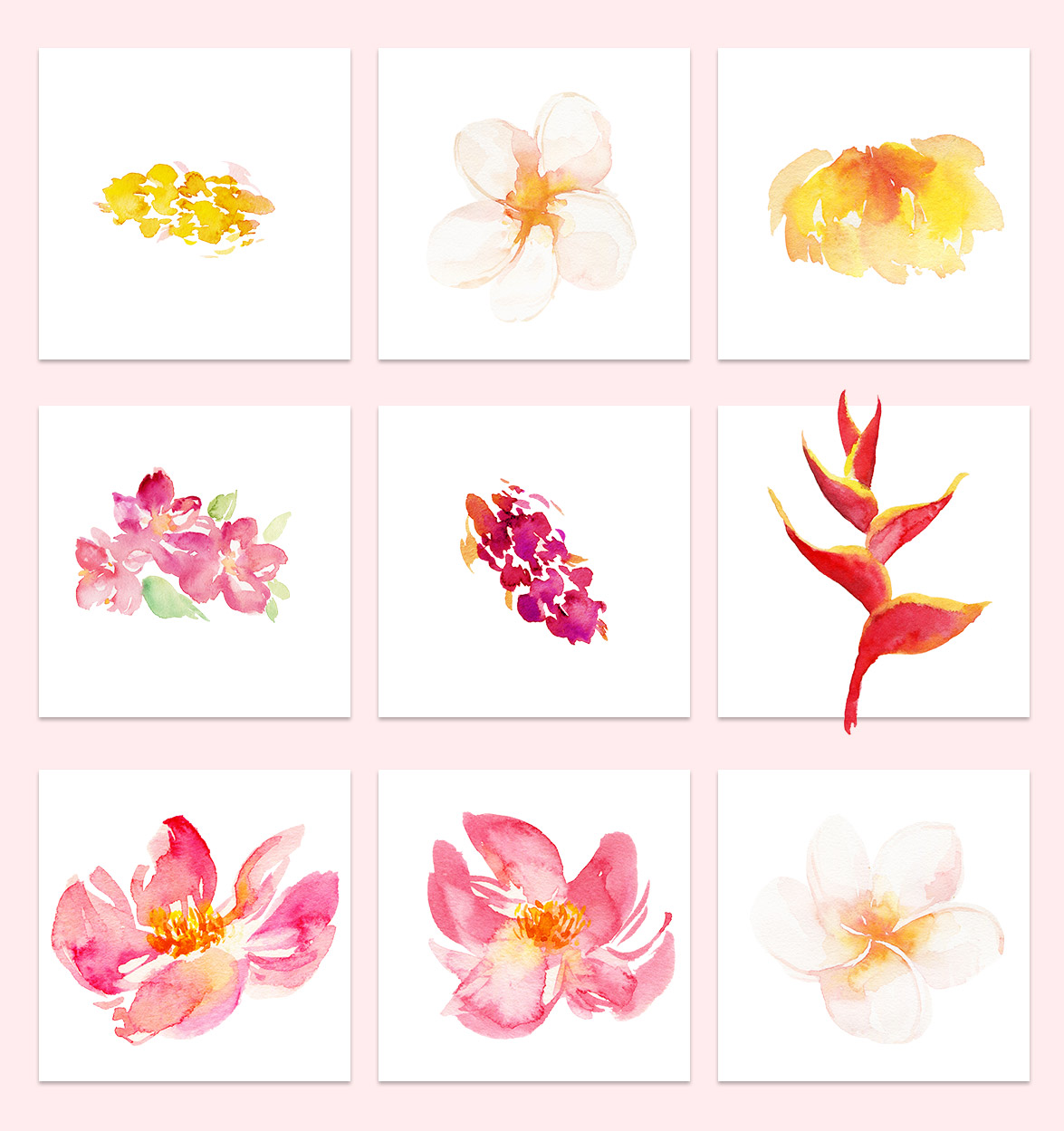 水彩手绘花卉花朵PNG免抠素材