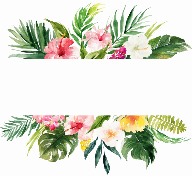 水彩手绘植物鲜花边框背景素材