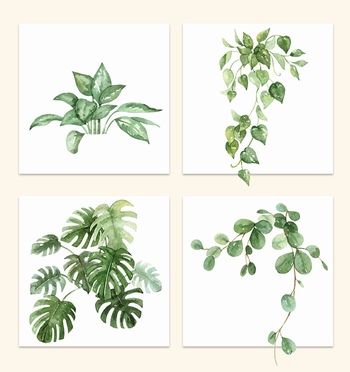 水彩手绘室内植物盆栽绿植PNG免抠素材