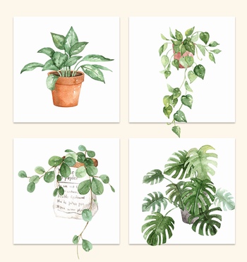 水彩手绘室内植物盆栽绿植PNG免抠素材