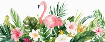 水彩手绘植物鲜花火烈鸟素材