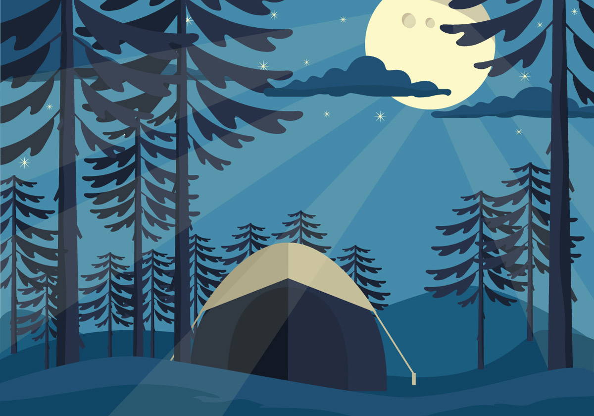 月光穿过森林照在野营的帐篷上