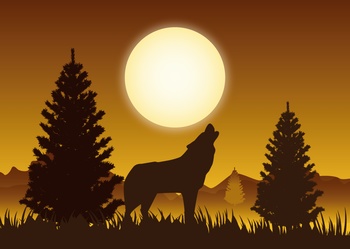 草原上夕阳下的狼叫