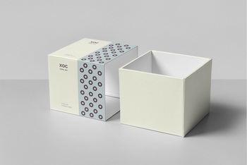 高檔禮盒包裝盒設計樣機貼圖模板