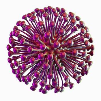 三維渲染細菌病毒微生物免摳png高清圖