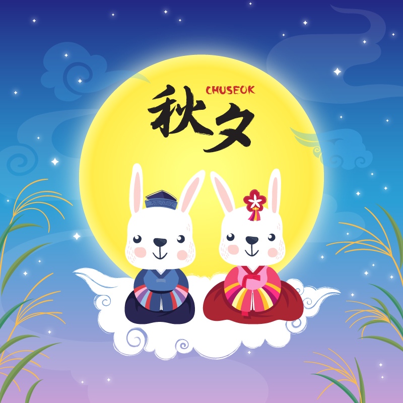 中秋节一对可爱的小白兔图片素材