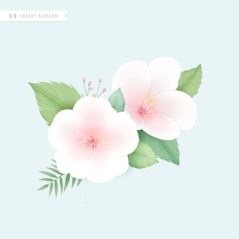精美细腻的樱花水彩手绘插画