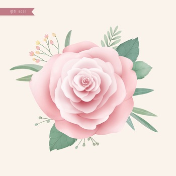 精美细腻的玫瑰花水彩手绘插画