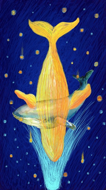 唯美手绘大白鲨鲸鱼梦幻ps插图插画素材