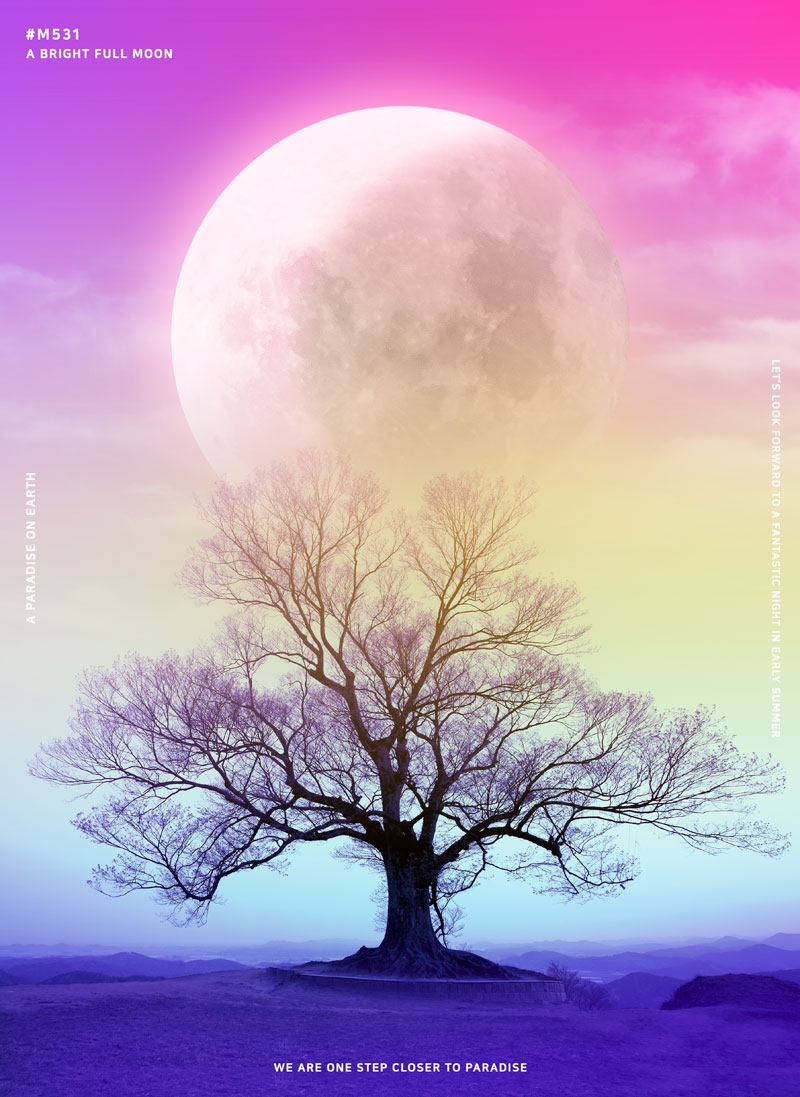 神秘月球和大树ps创意海报素材