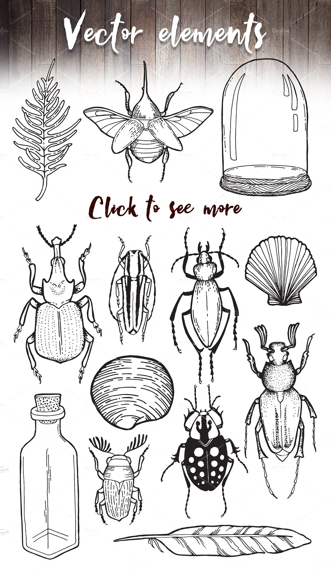 手绘昆虫图案ps矢量透明多格式素材图