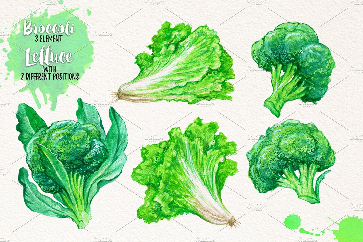 水彩手绘蔬菜香料元素PNG免抠设计素材