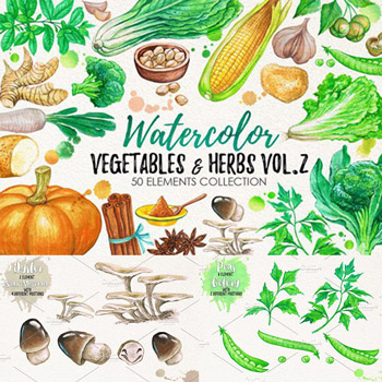 水彩手繪蔬菜香料元素PNG免摳設計素材