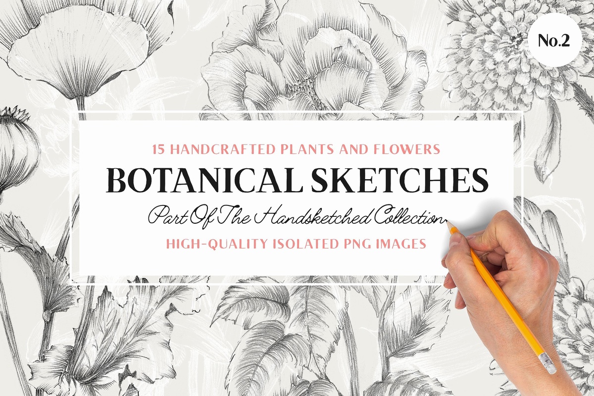 铅笔画手绘植物花卉图案PNG免抠图片笔刷