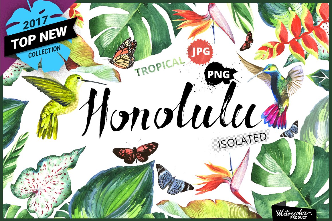 蜂鸟蝴蝶树叶植物水彩手绘PNG免抠素材图片