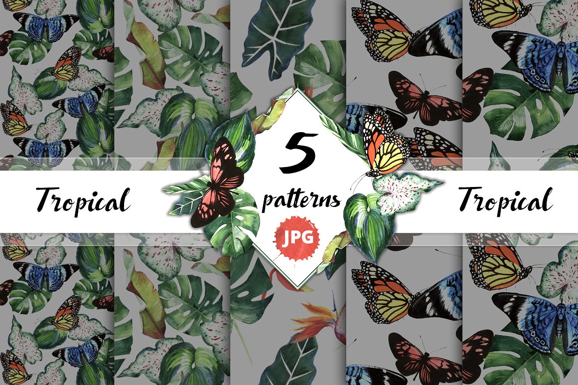 蜂鸟蝴蝶树叶植物水彩手绘PNG免抠素材图片