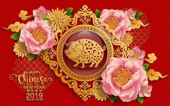2019猪年传统花开富贵装饰矢量图