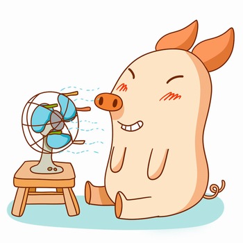 豬年可愛的吹風扇小豬卡通形象ps素材
