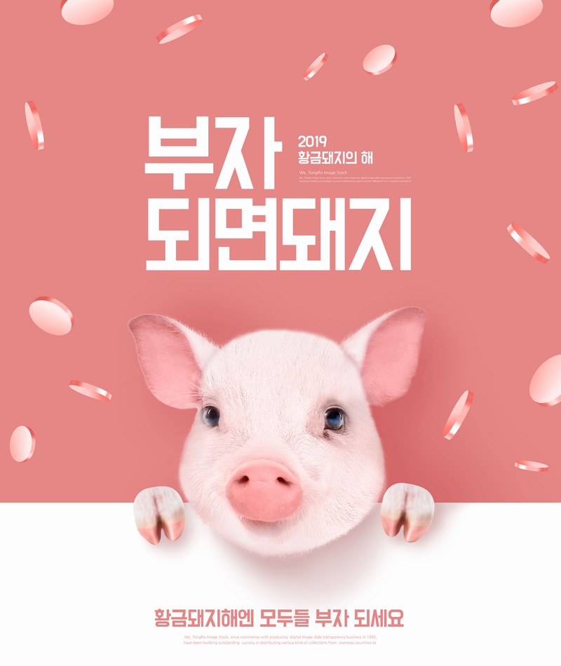 2019猪年粉嫩可爱小猪海报ps模板素材