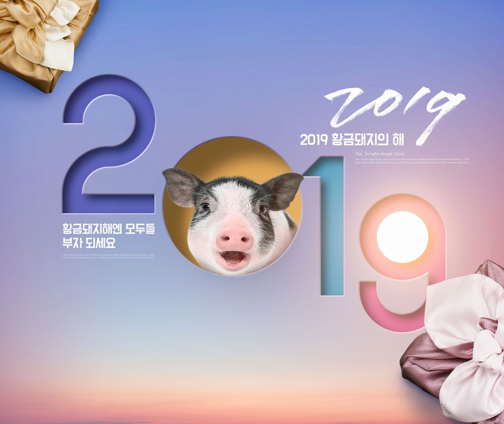 2019可爱猪年海报ps模板素材