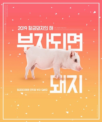 2019猪年可爱小猪海报ps模板素材