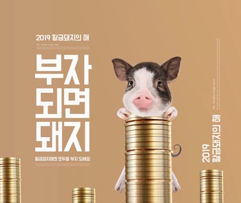 2019猪年可爱小猪金币海报ps模板素材