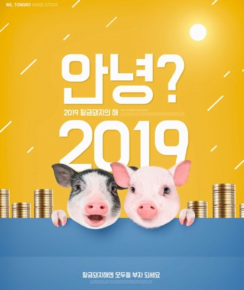 2019猪年一对可爱小猪海报ps模板素材