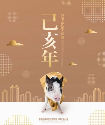 2019传统猪年海报ps模板素材