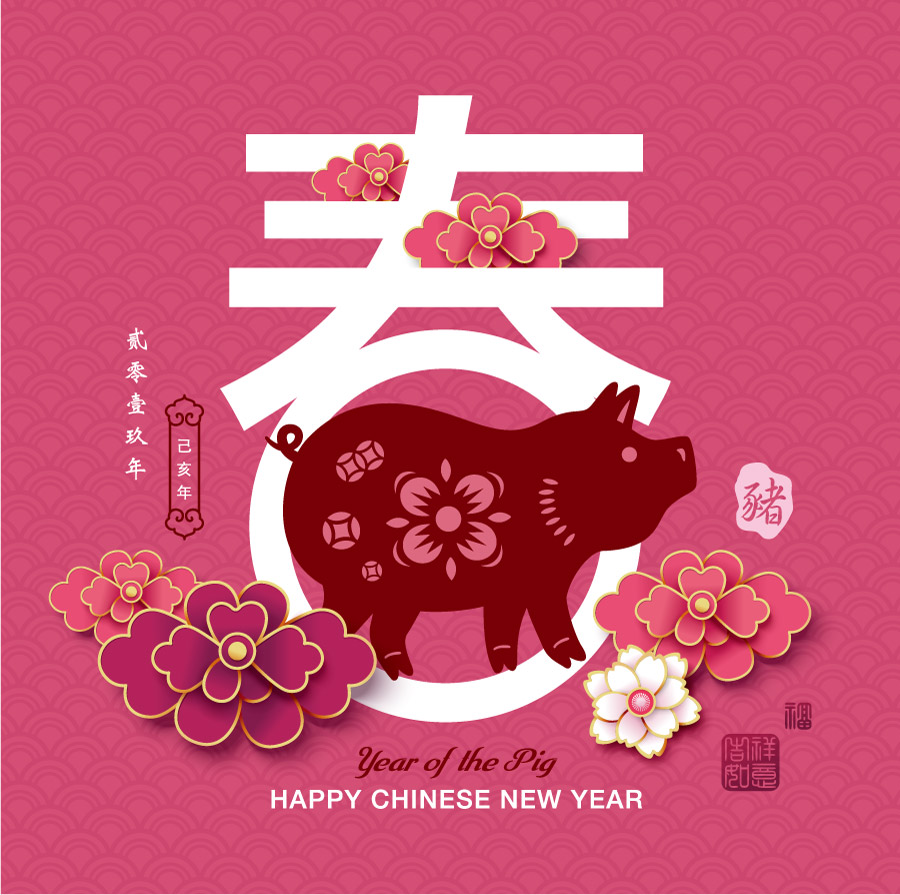2019猪年春节传统花纹春字海报矢量图案素材