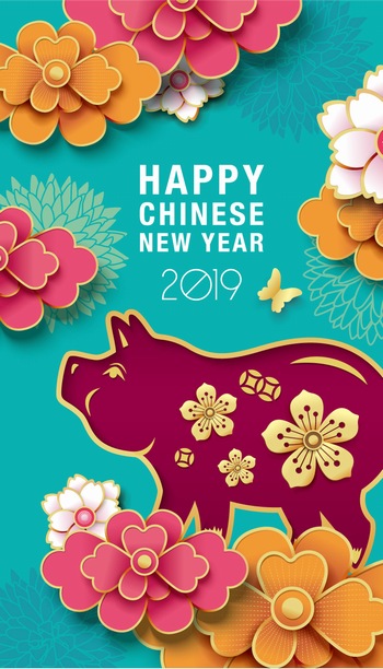 2019猪年春节传统花纹装饰海报矢量图案素