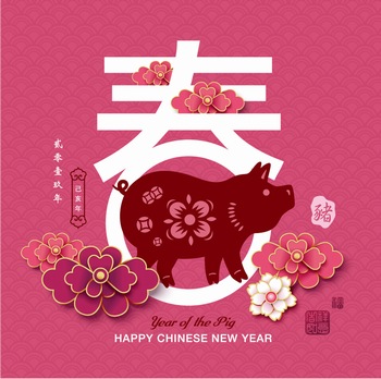 2019猪年春节传统花纹春字海报矢量图案素材