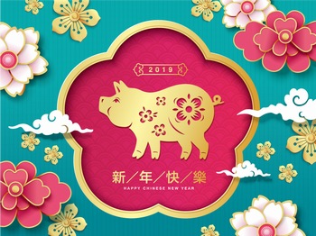 2019猪年春节传统花纹装饰海报矢量图案素材