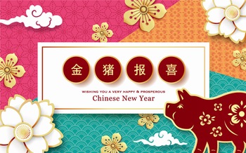 2019猪年春节传统花纹装饰海报矢量图案素材