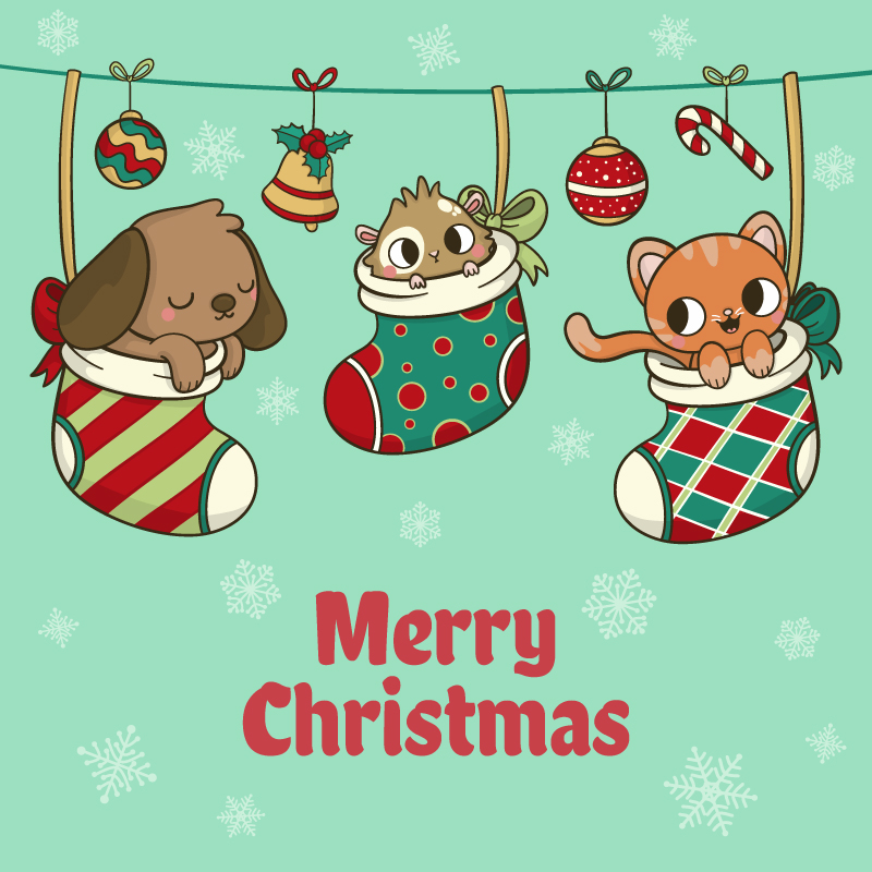 躲在圣诞节袜子里的小动物卡通插画
