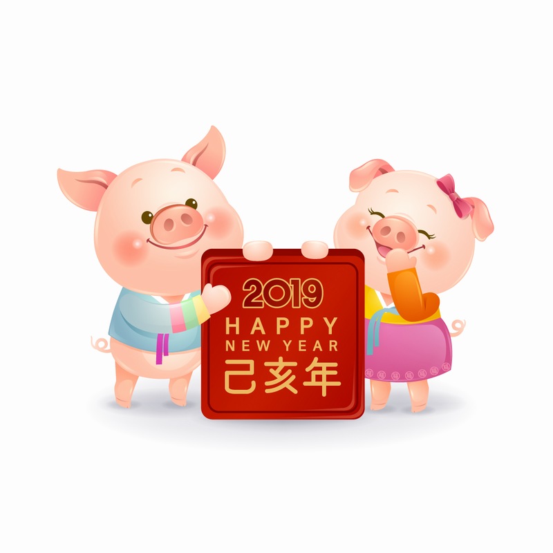 可爱小猪夫妻新年祝福插画矢量图素材