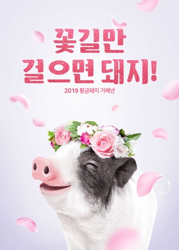 2019新年元旦活动海报可爱美丽小猪ps素材