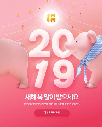 2019猪年元旦海报设计ps素材