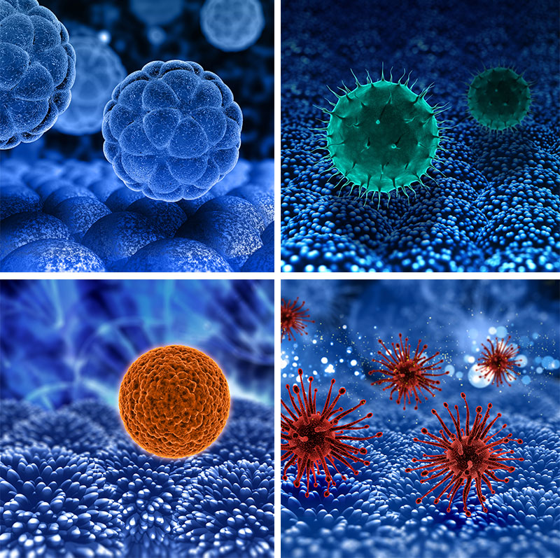 藍色微觀世界里的細胞和細菌