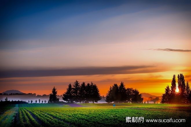 夕阳下的农庄美丽的风景